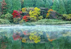 お玉ヶ池